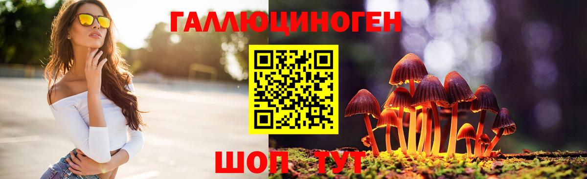 купить   Вход с VPN  Орск  Галлюциногенные грибы MAGIC MUSHROOMS 